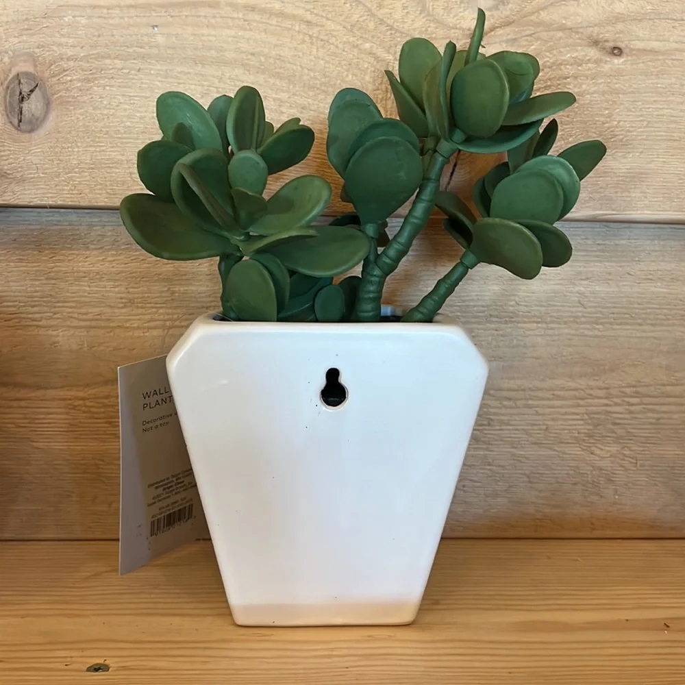 NWT Project 62 Wall Planter with Faux Succulents Approx 9”x 5”